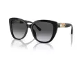 Emporio Armani Solglasögon EA 4214U 50178G