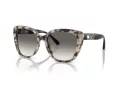 Emporio Armani Solglasögon EA 4214U 605811