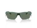 Emporio Armani Solglasögon EA 4218 610276