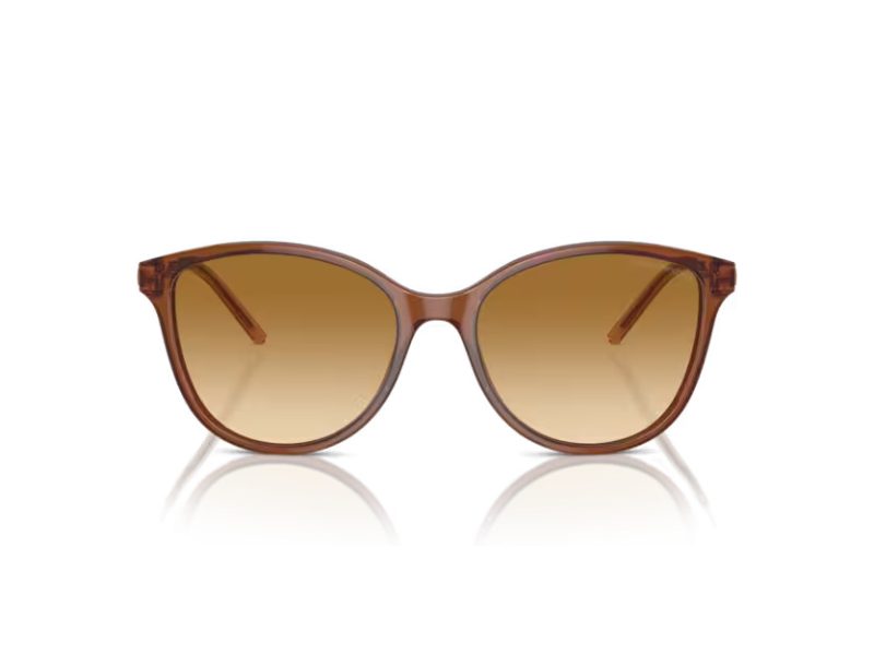 Emporio Armani Solglasögon EA 4220 61103B