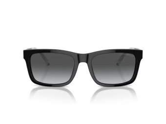 Emporio Armani Solglasögon EA 4224 5017T3