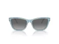 Emporio Armani Solglasögon EA 4227U 609611
