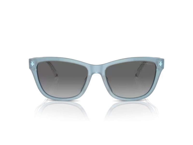 Emporio Armani Solglasögon EA 4227U 609611