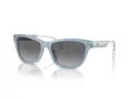 Emporio Armani Solglasögon EA 4227U 609611