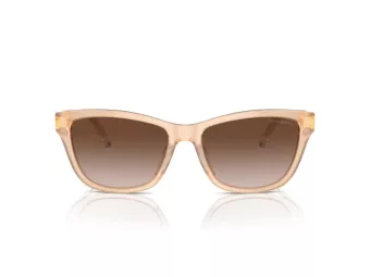 Emporio Armani Solglasögon EA 4227U 609813