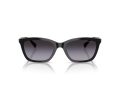 Emporio Armani Solglasögon EA 4238 50178G