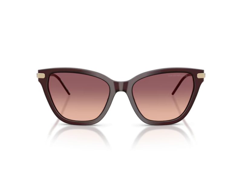 Emporio Armani Solglasögon EA 4251 62658D