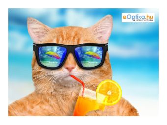 Rengöringsduk för glasögon