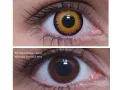 ColourVUE Crazy Orange Werewolf (2 linser) - utan dioptri