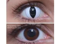ColourVUE Crazy Viper (2 linser) - utan dioptri