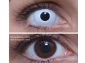 ColourVUE Crazy Whiteout (2 linser) - utan dioptri