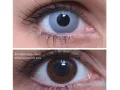 ColourVUE Crazy Grey Zombie (2 linser) - utan dioptri