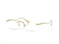 Ferrari Glasögon FH 3008T 313