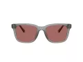 Coach Cad81 Solglasögon HC 8426U 58750H