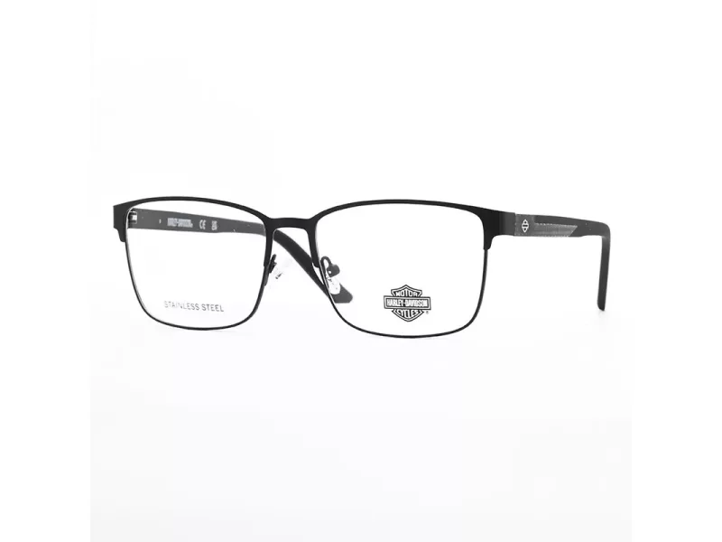 Harley-Davidson Glasögon HD 0946 002