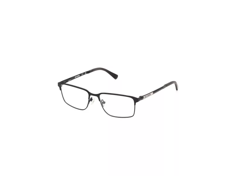 Harley-Davidson Glasögon HD 50031 002