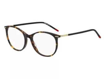 Hugo Boss Glasögon HG 1238 0UC