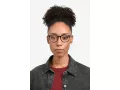 Hugo Boss Glasögon HG 1277 OIT
