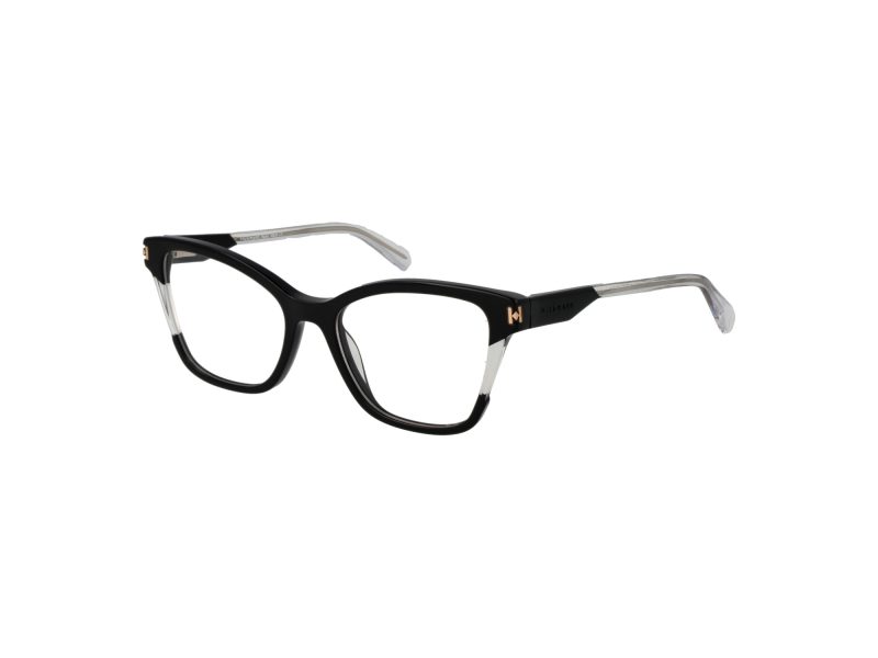 Ana Hickmann Glasögon HI 6249 P01