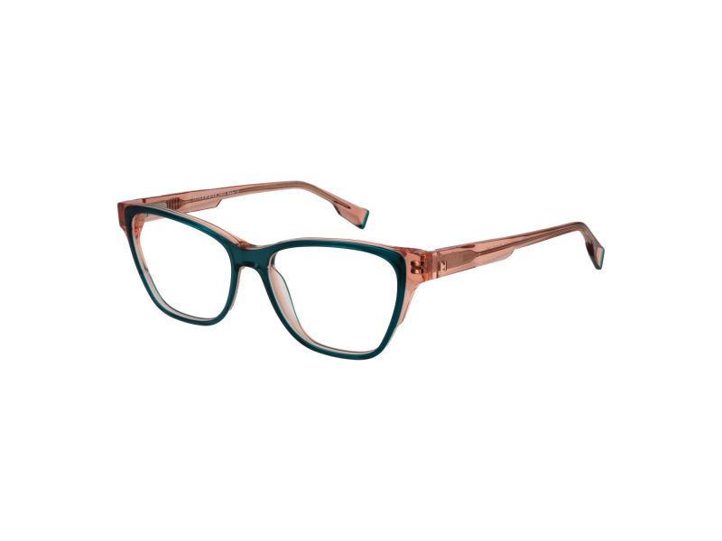Ana Hickmann Glasögon HI 6262 H03