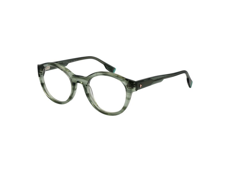 Ana Hickmann Glasögon HI 6267 E01