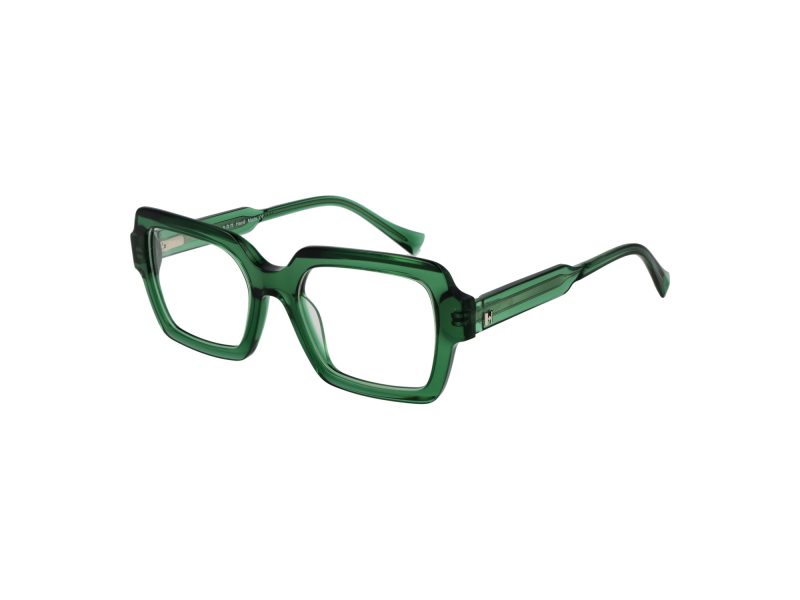 Ana Hickmann Glasögon HI 6288 T02