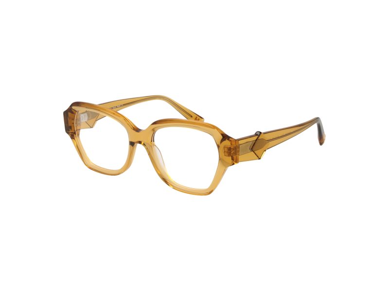 Ana Hickmann Glasögon HI 6296 T01