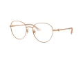 Jimmy Choo Glasögon JC 2004HB 3008