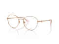 Jimmy Choo Glasögon JC 2004HB 3008