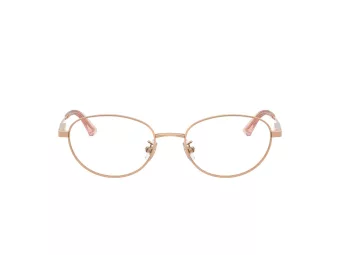 Jimmy Choo Glasögon JC 2009D 3008