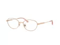 Jimmy Choo Glasögon JC 2009D 3008