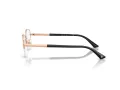 Jimmy Choo Glasögon JC 2014D 3022