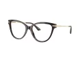 Jimmy Choo Glasögon JC 3001B 5002