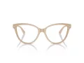 Jimmy Choo Glasögon JC 3001B 5015