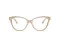 Jimmy Choo Glasögon JC 3001B 5015