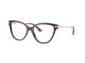 Jimmy Choo Glasögon JC 3001B 5018