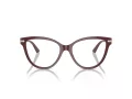 Jimmy Choo Glasögon JC 3001B 5018