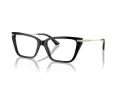 Jimmy Choo Glasögon JC 3002B 5000