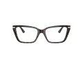 Jimmy Choo Glasögon JC 3002B 5002