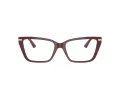 Jimmy Choo Glasögon JC 3002B 5018