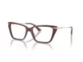 Jimmy Choo Glasögon JC 3002B 5018