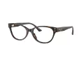 Jimmy Choo Glasögon JC 3003BU 5002
