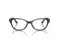 Jimmy Choo Glasögon JC 3003BU 5002