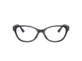 Jimmy Choo Glasögon JC 3003BU 5016