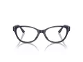 Jimmy Choo Glasögon JC 3003BU 5016
