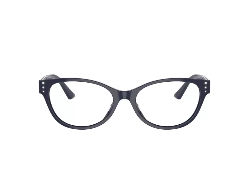 Jimmy Choo Glasögon JC 3003BU 5016