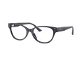 Jimmy Choo Glasögon JC 3003BU 5016