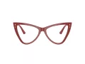 Jimmy Choo Glasögon JC 3004B 5013