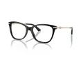 Jimmy Choo Glasögon JC 3007HB 5000