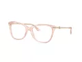 Jimmy Choo Glasögon JC 3007HB 5034